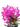 Vanda