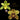 Cymbidium Flask GH2429  (Fifi 'Harry' 4n x Desert Gold 'Geyserland' 4n)