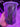 Cymbidium Flask GH2505  (Tagami Special '#1' 4n x canaliculatum 'Aurora 2N')