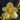 Flowering select Sarcochilus CC25/075