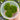 Live moss (3 pack)
