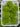 Live moss (7 pack)