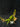 Flowering select Sarcochilus CC26/122