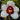 Flowering select Sarcochilus CC26/144