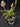 Flowering select Sarcochilus CC26/144
