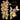 DEPOSIT for imported Catasetum flask of SVO13152 (Ctsm. Dentigrianum 'SVO Extra Nice' x Ctsm. Chuck Taylor 'SVO Sunshine')