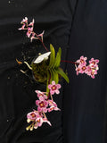 Select Barrita Orchids Sarcochilus INDP/118